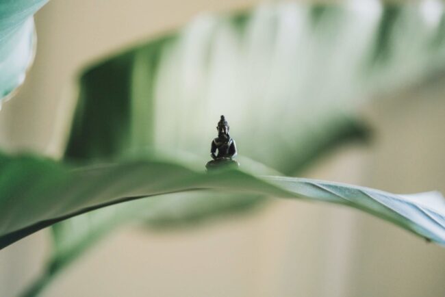 Yin Yoga
